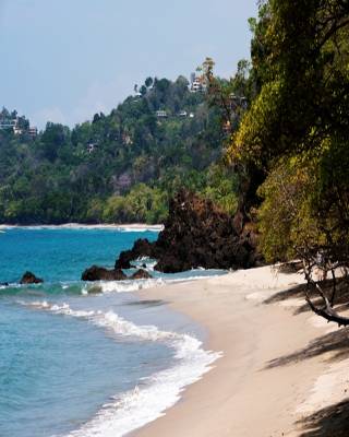 Trips Manuel Antonio